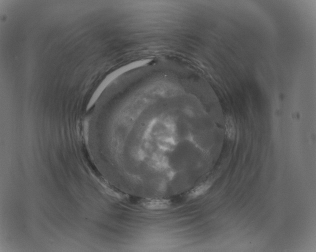 X0000070360670200606231624