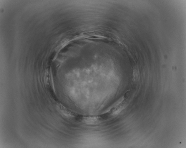 X0000070360671200606231624