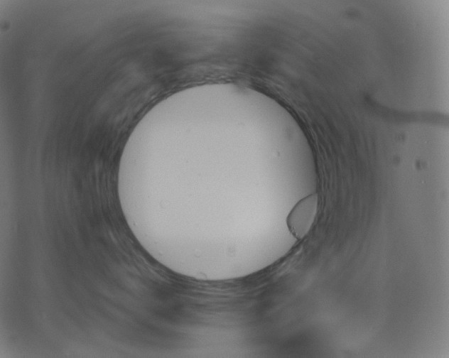 X0000070360672200606231624