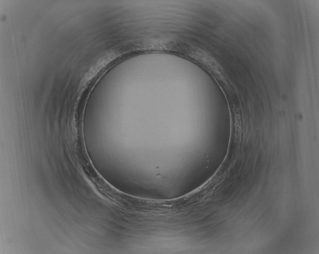 X0000070360674200606231623