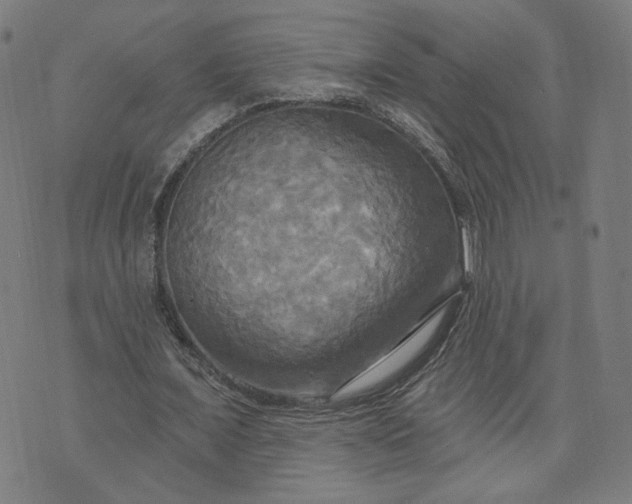 X0000070360675200606231623