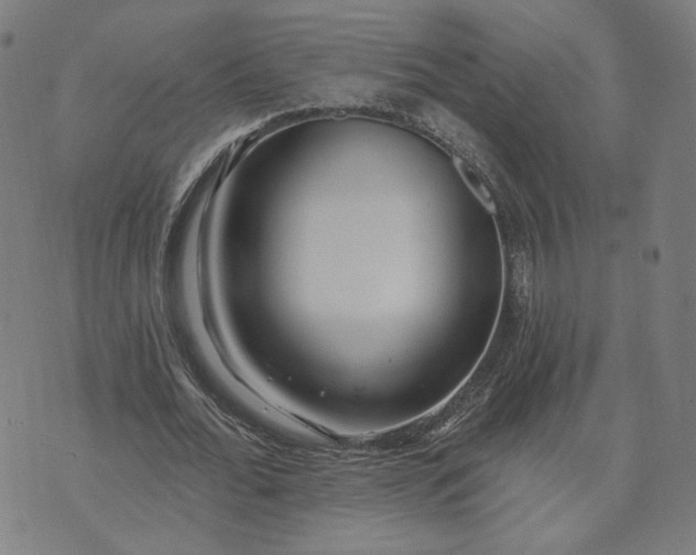 X0000070360676200606231623