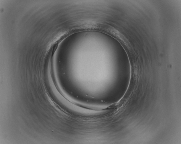 X0000070360677200606231623