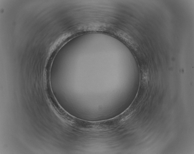 X0000070360678200606231623