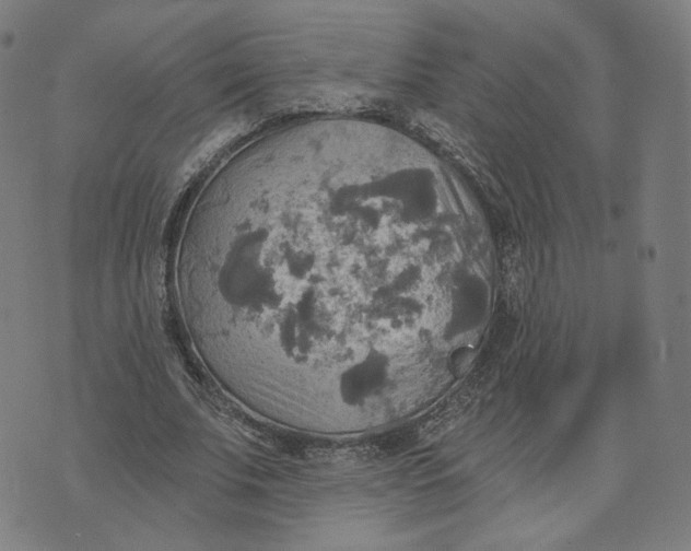 X0000070360679200606231623