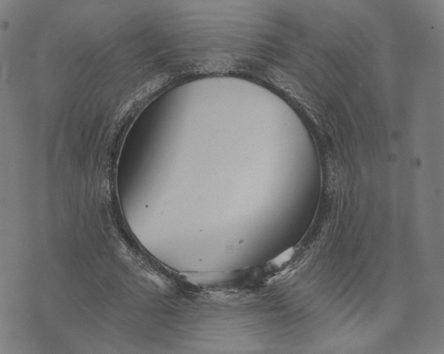 X0000070360681200606231623