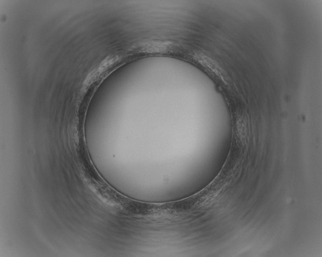 X0000070360682200606231623