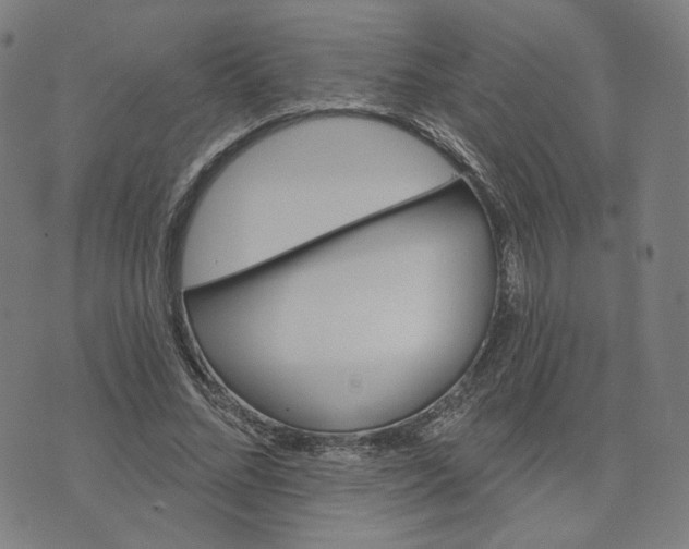 X0000070360684200606231623