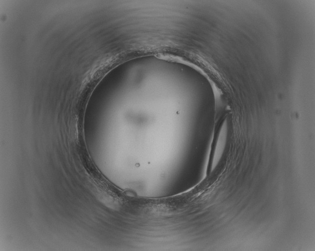 X0000070360685200606231623