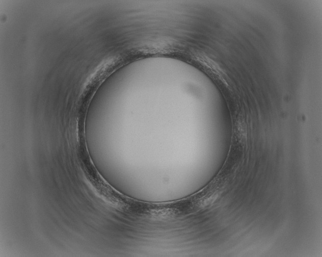 X0000070360686200606231623