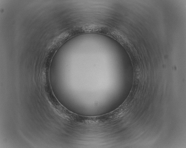 X0000070360690200606231623