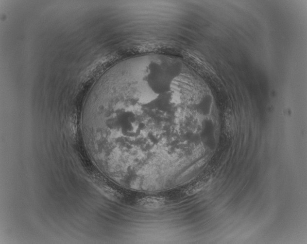 X0000070360691200606231623