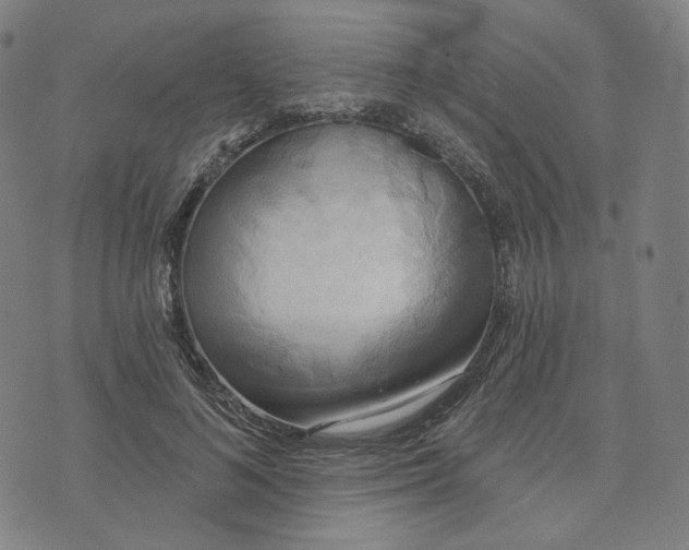 X0000070360692200606231623