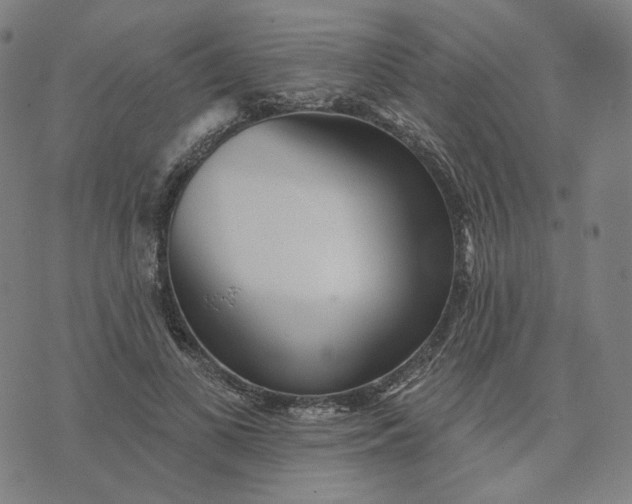 X0000070360693200606231623