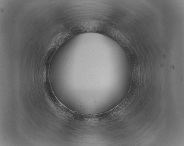 X0000070360694200606231623