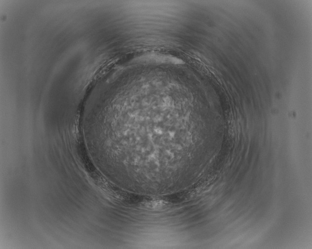 X0000070360695200606231623