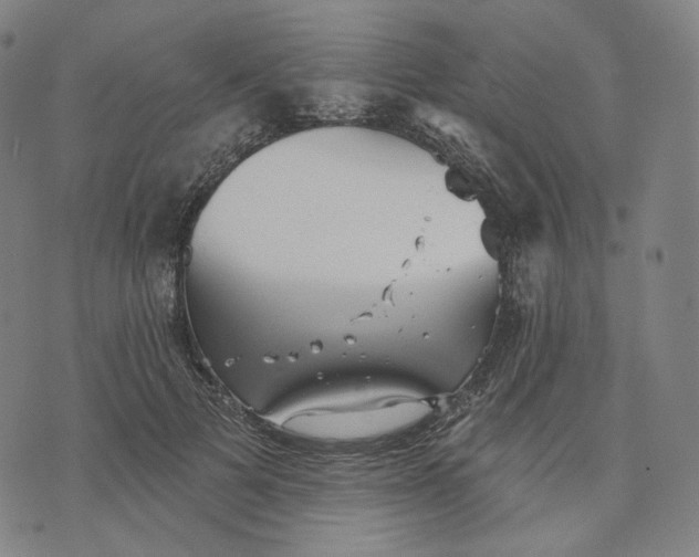 X0000070360697200606231623