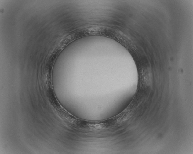 X0000070360698200606231622