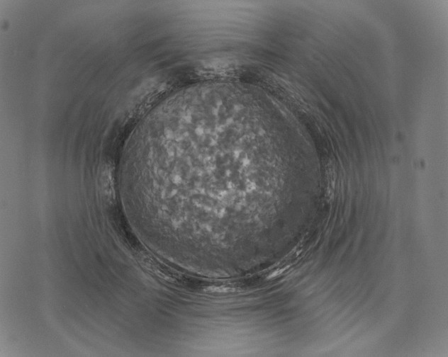 X0000070360699200606231622