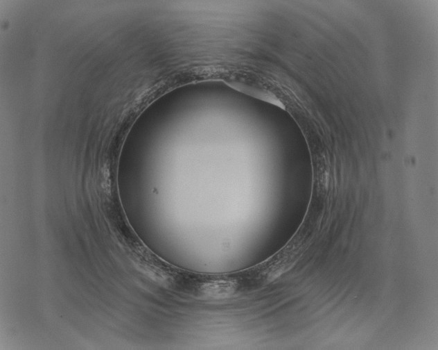 X0000070360700200606231622