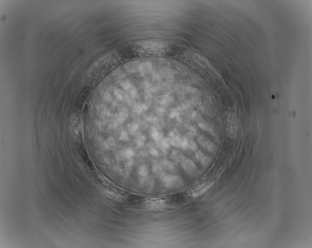 X0000070360701200606231622