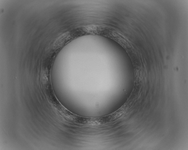 X0000070360702200606231622