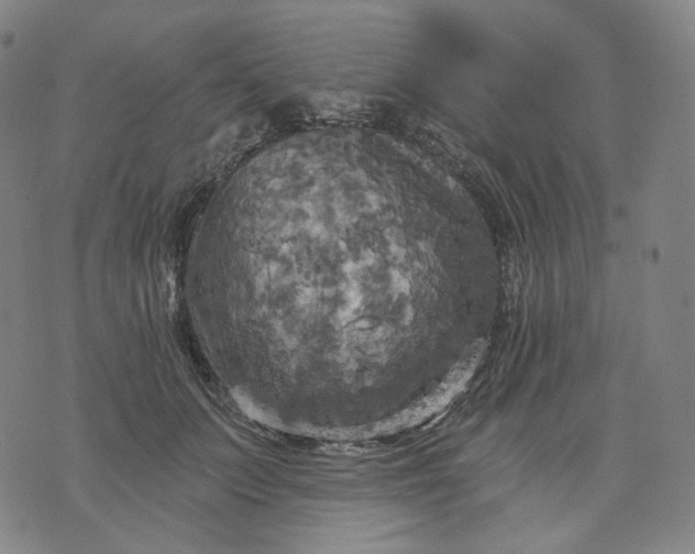 X0000070360703200606231622