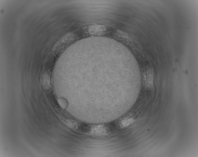 X0000070360705200606231622