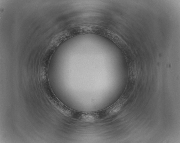 X0000070360706200606231622