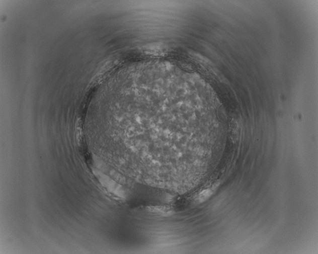 X0000070360707200606231622