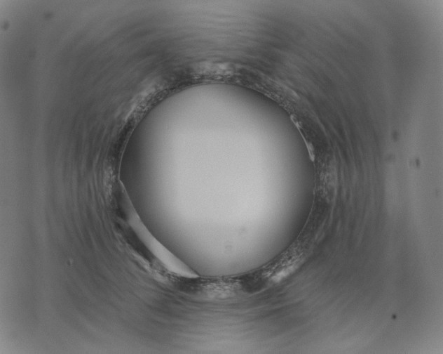 X0000070360708200606231622