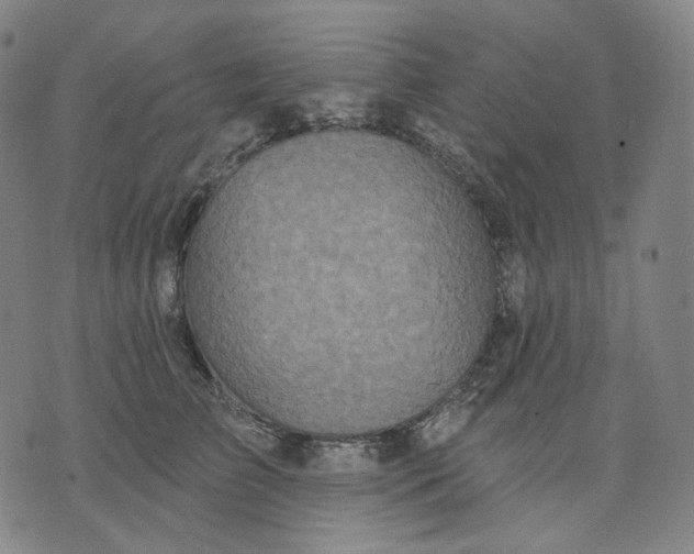 X0000070360709200606231622