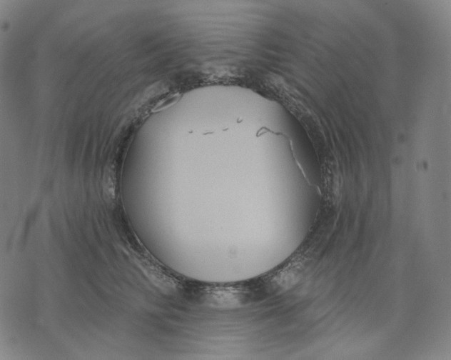 X0000070360710200606231622