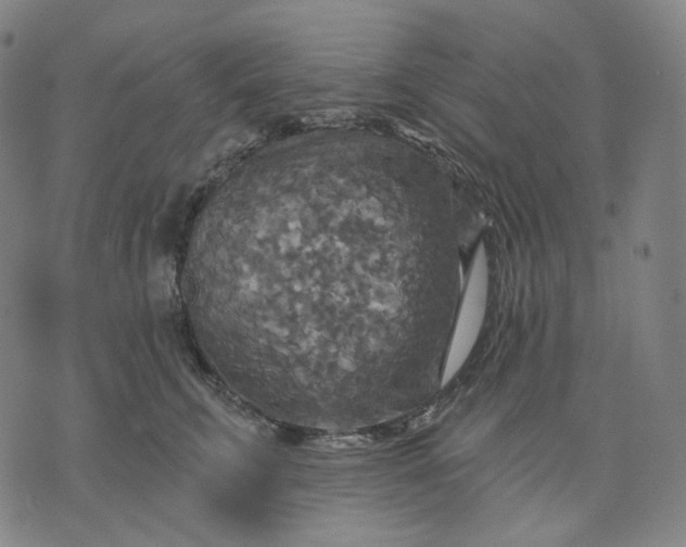 X0000070360711200606231622