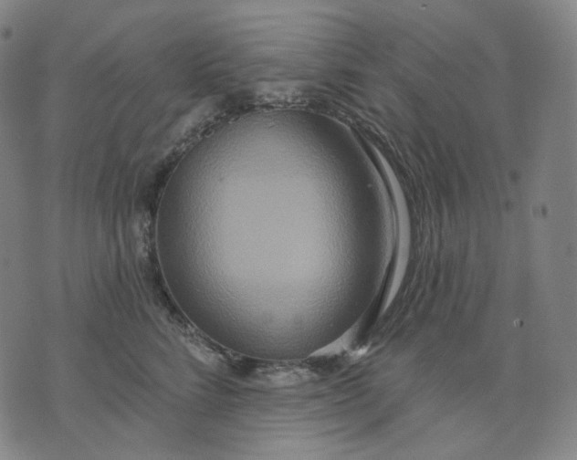 X0000070360712200606231622