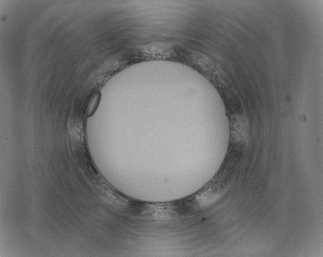 X0000070360713200606231622