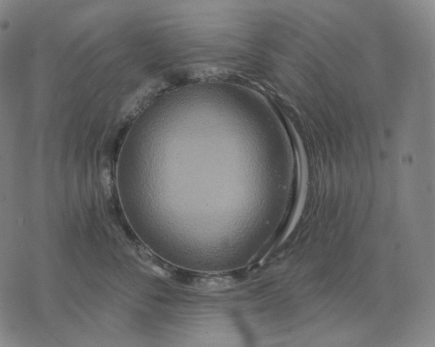 X0000070360716200606231622