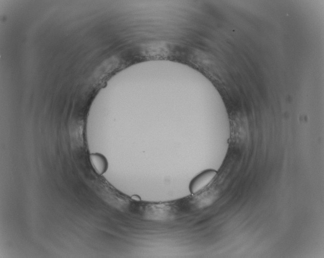 X0000070360717200606231622