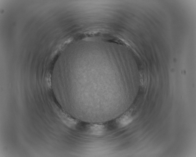 X0000070360718200606231622