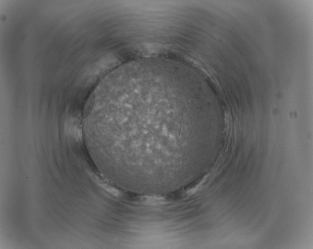 X0000070360719200606231622