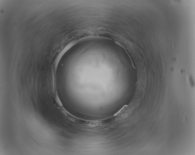 X0000070360720200606231622