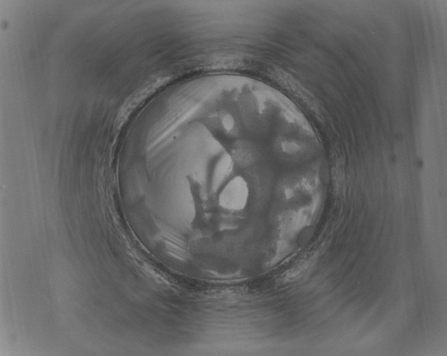 X0000070360721200606231621