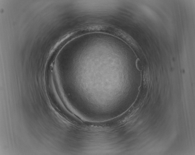 X0000070360722200606231621