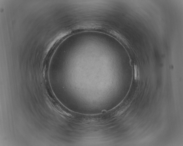 X0000070360723200606231621