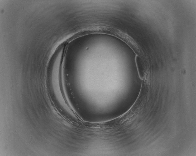 X0000070360724200606231621