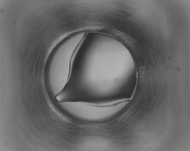 X0000070360726200606231621