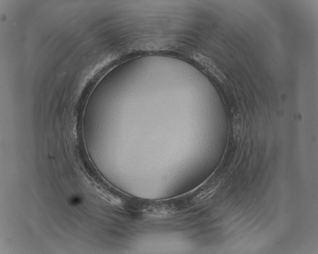 X0000070360727200606231621