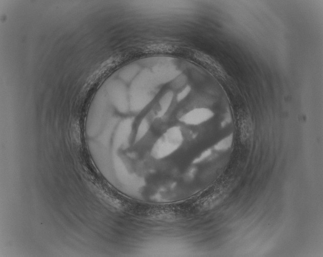 X0000070360729200606231621