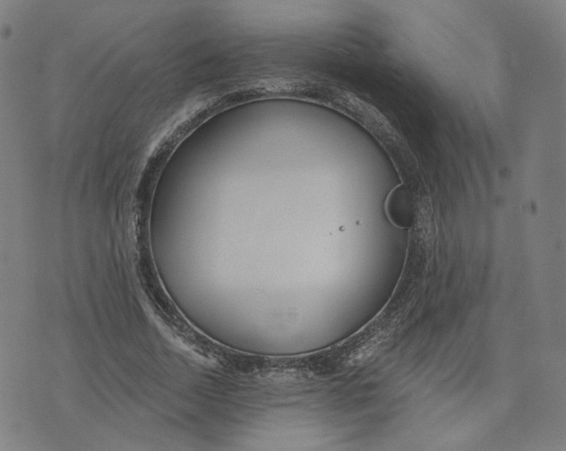 X0000070360730200606231622