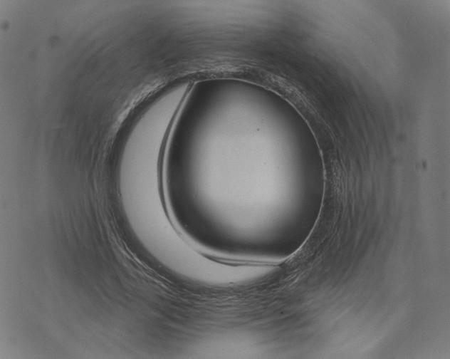 X0000070360731200606231622